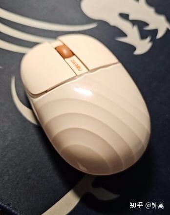 淄博：当“国补”邂逅春节档(图1)