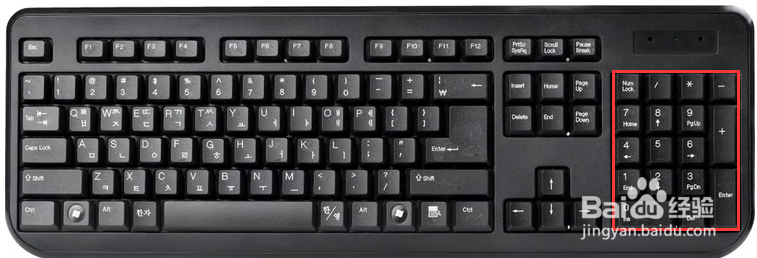 马斯克官宣数字AI员工！世界首富也来养龙虾测试阶段员工把它当真人(图1)